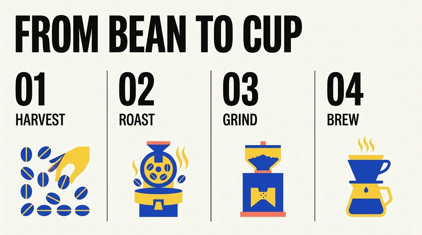 Infographic poster with clear headings and labels generated with Nano Banana 2.1